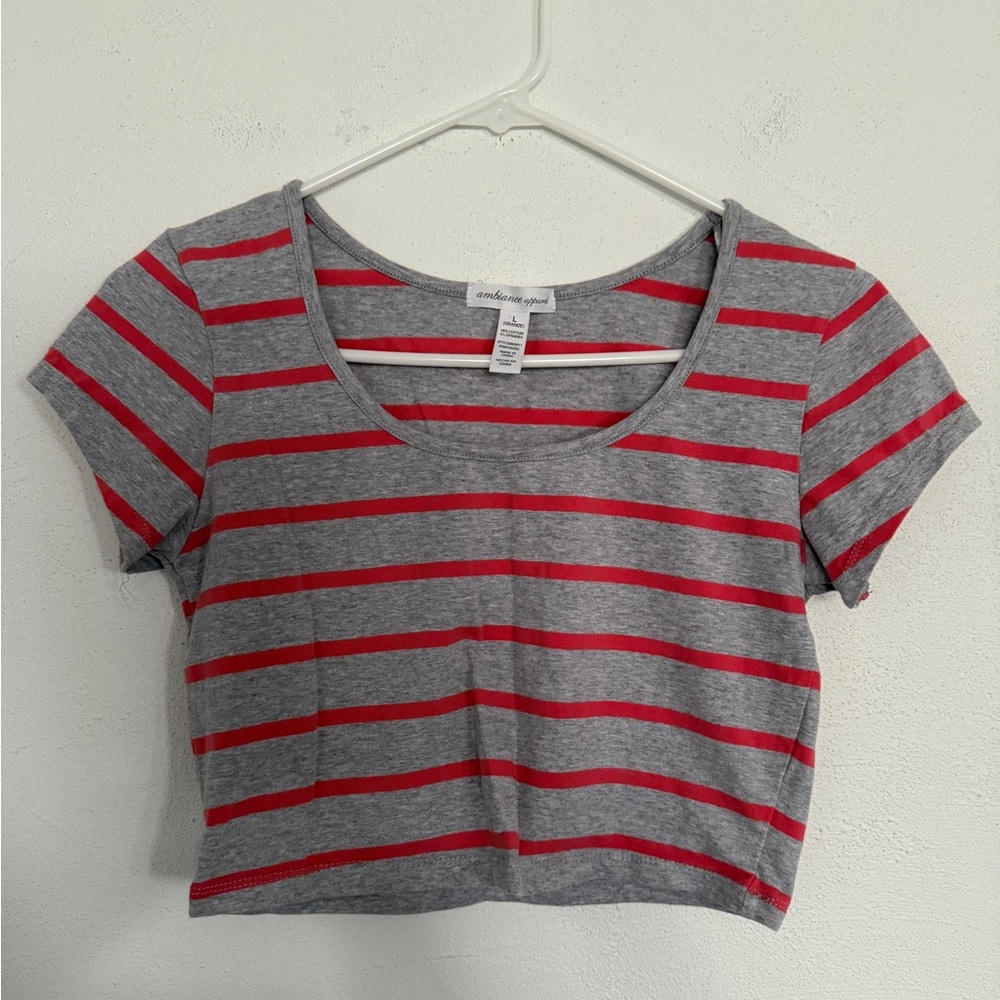 Gray and Red Striped Crop Top